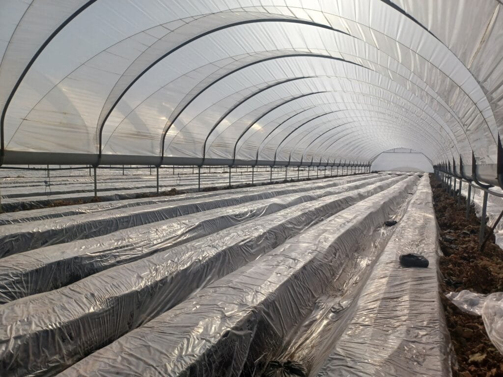 agrosol tuv ad film ilioapolimansis