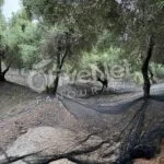 Δίχτυ Μόνιμης Στρώσης 6 χ65  Μαύρο