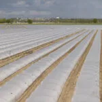 3A Agroplast διαφανές 30 micron