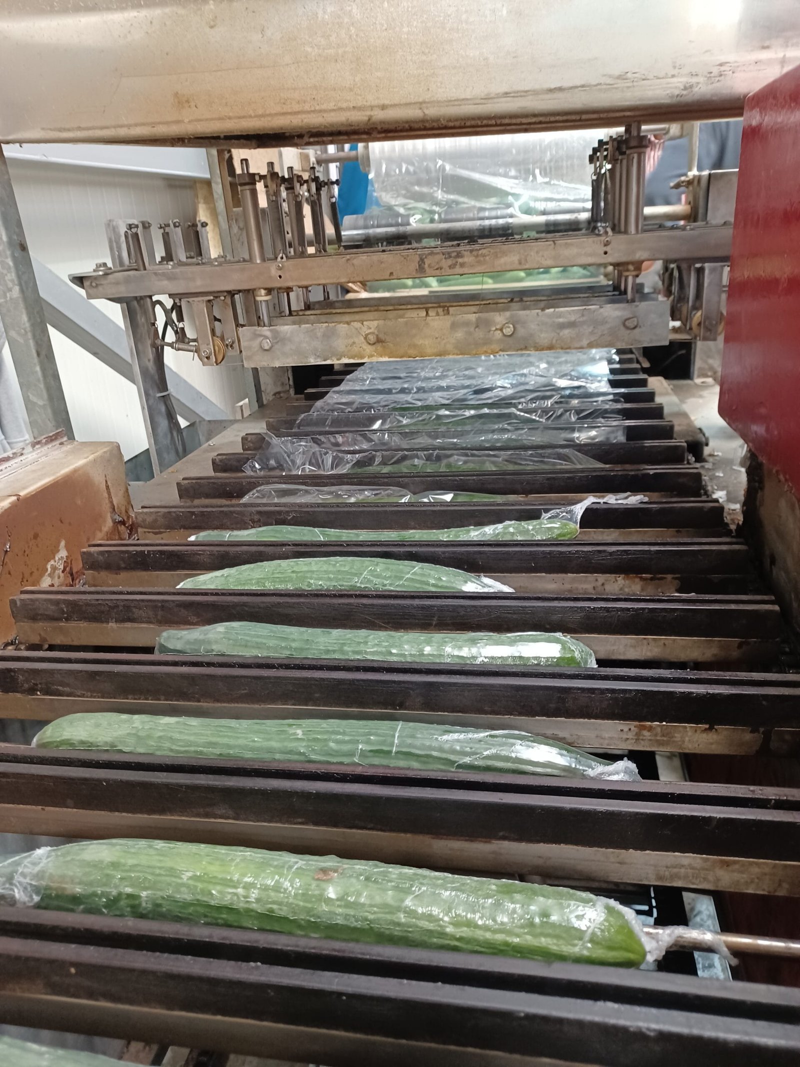 shrink film agoyri Shrink film με οπές για αγγούρια εξαγωγής 20 μm - Image 1
