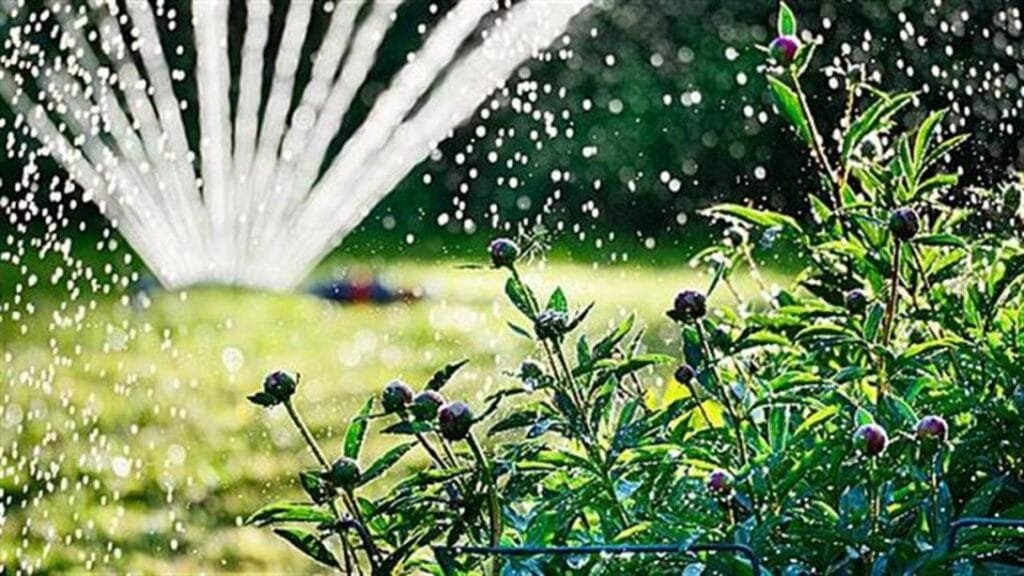 blog διαχείριση νερού- Κρήτη