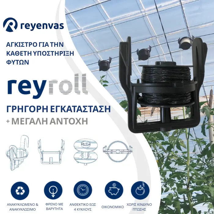reyroll